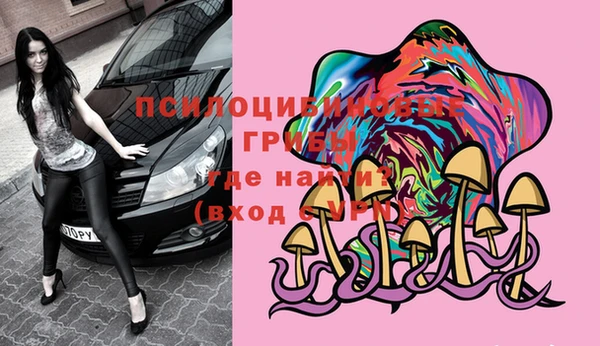 ПСИЛОЦИБИНОВЫЕ ГРИБЫ Арсеньев
