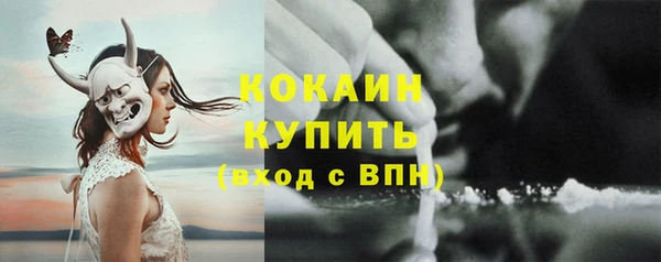 ПСИЛОЦИБИНОВЫЕ ГРИБЫ Арсеньев