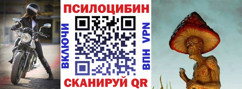 Галлюциногенные грибы Psilocybe  Урюпинск 